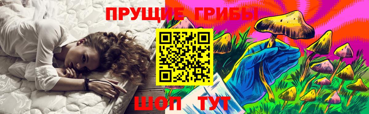 Черняховск  Псилоцибиновые грибы Cubensis  Вход с VPN 